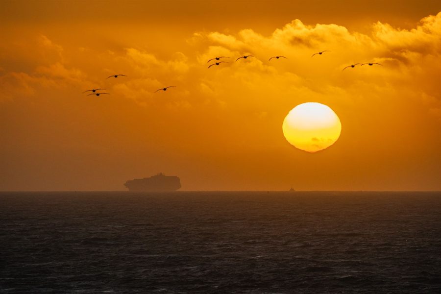 Ship silhouette on the horizon at sunset with birds flying over the sea